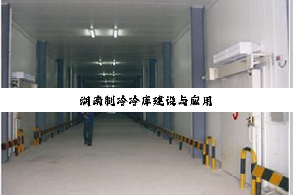 湖南制冷冷库建设与应用